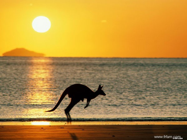 Top 10 Must-See Destinations in Australia: An Expert Guide