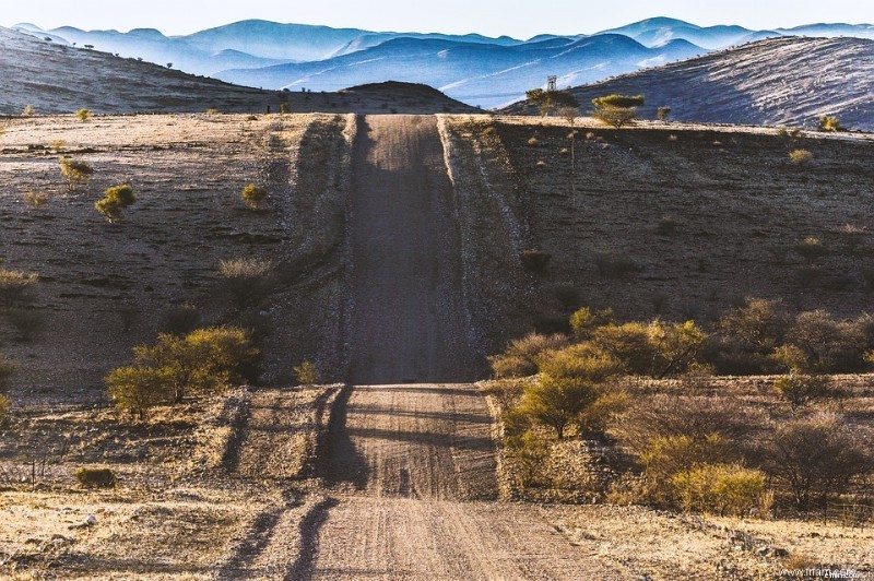 Expert Tips for a Comfortable Road Trip: Plan & Enjoy!