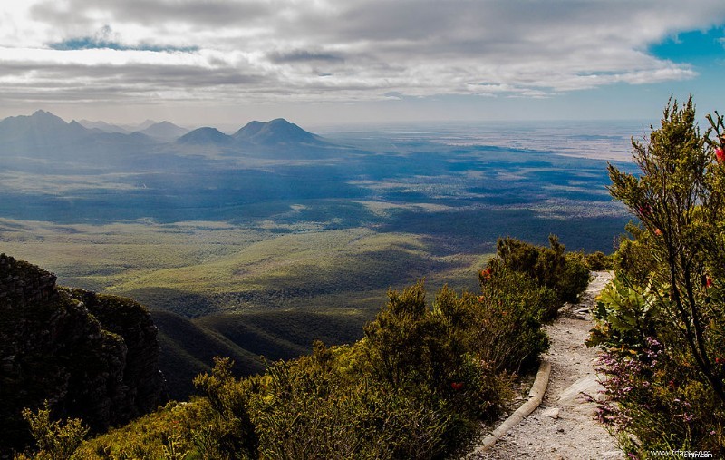 Top Hiking Trails in Australia: Expert Guide for Active Adventures