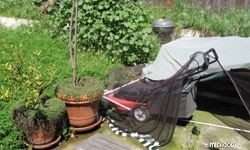 Budget-Friendly Backyard Landscaping Ideas to Boost Curb Appeal