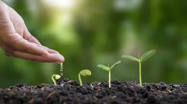 Investasi Obligasi:Mengatur Waktu Entri Anda untuk Pengembalian Optimal 