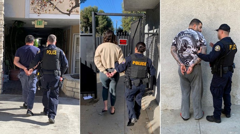 Fraude de seguros en California:condena por ataques a vehículos con osos disfrazados 