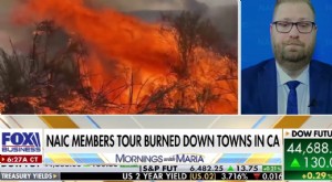 Incendios forestales urbanos en California:daños por 275 mil millones de dólares - Fox News 