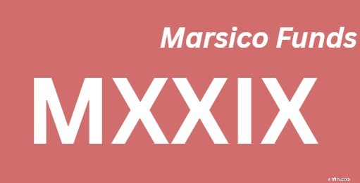 I 25 migliori fondi comuni di investimento gestiti attivamente senza carico per il 2024 