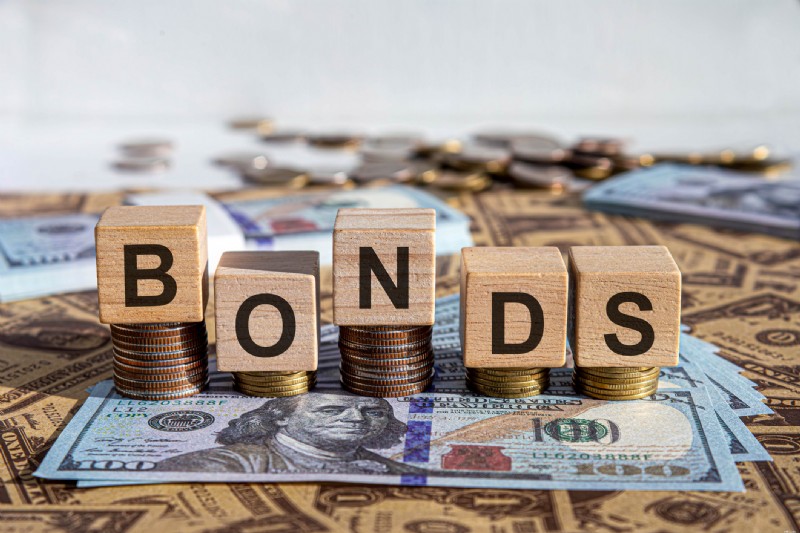 I migliori fondi obbligazionari Vanguard:opzioni a basso costo per gli investitori 