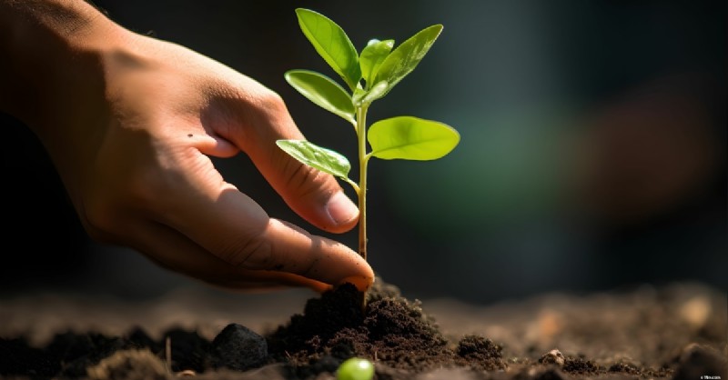 Investasi Alternatif:Selain Saham - Peluang Pengembalian Tinggi 