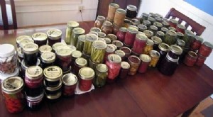 Preserve sua colheita:um guia para desidratadores de alimentos 