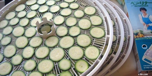 Pertahankan Hasil Panen Anda:Panduan Dehidrator Makanan 