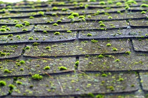 Tabungan DIY:5 Tugas Perbaikan Rumah yang Lebih Murah untuk Dilakukan Sendiri 