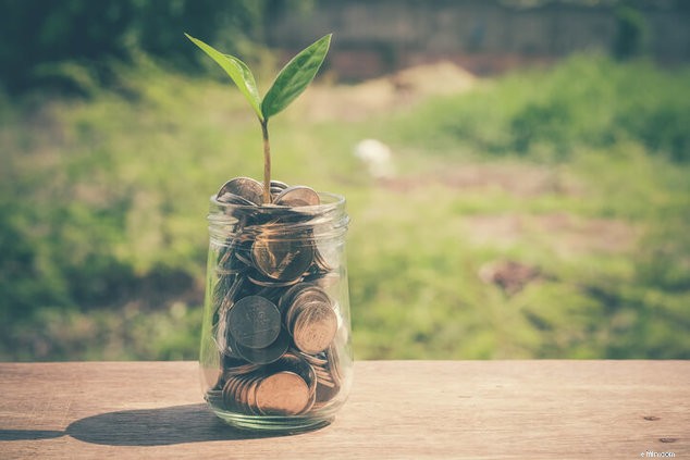 Investasi Pasif:Bangun Kekayaan dengan Dana Indeks Sederhana 