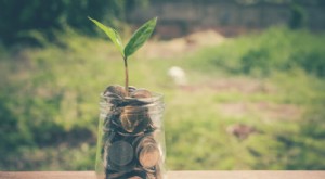 Investasi Pasif:Bangun Kekayaan dengan Dana Indeks Sederhana 