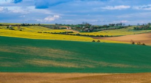 Investire in terreni agricoli:una guida al crowdfunding immobiliare 