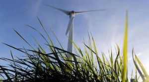 Bonos verdes:financiación de un futuro sostenible para proyectos medioambientales 