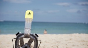 Top 5 Snorkeling Destinations in the USA: Explore Underwater Wonders
