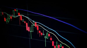 Reksa Dana vs. Saham:Investasi Mana yang Tepat untuk Anda? 