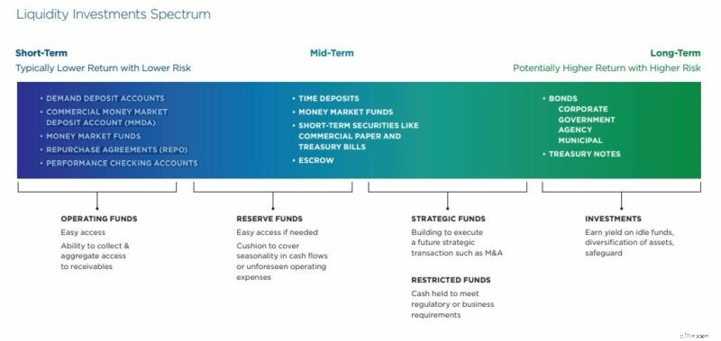 Optimización del exceso de liquidez:estrategias para la gestión del efectivo 