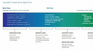 Optimización del exceso de liquidez:estrategias para la gestión del efectivo 