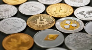 Memahami Cryptocurrency:Panduan Berbagai Jenis Crypto untuk Investor 