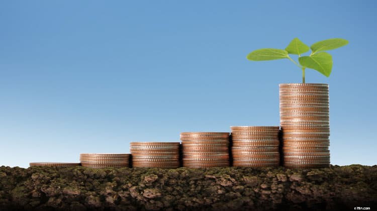 Beli dan Tahan Investasi:Pro &Kontra - Panduan Komprehensif 