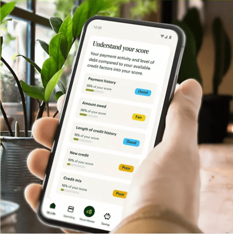 Ulasan Spruce Money:Mobile Banking Bebas Biaya untuk Tujuan Keuangan 