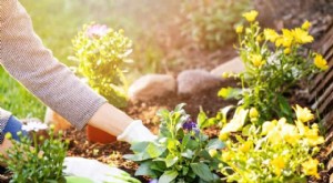 10 Pekerjaan Paruh Waktu Terbaik untuk Penghasilan Fleksibel 