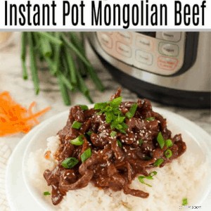 Resep Pot Instan Ramah Anggaran:45 Makanan Lezat &Mudah 