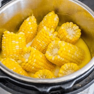 Resep Pot Instan Ramah Anggaran:45 Makanan Lezat &Mudah 